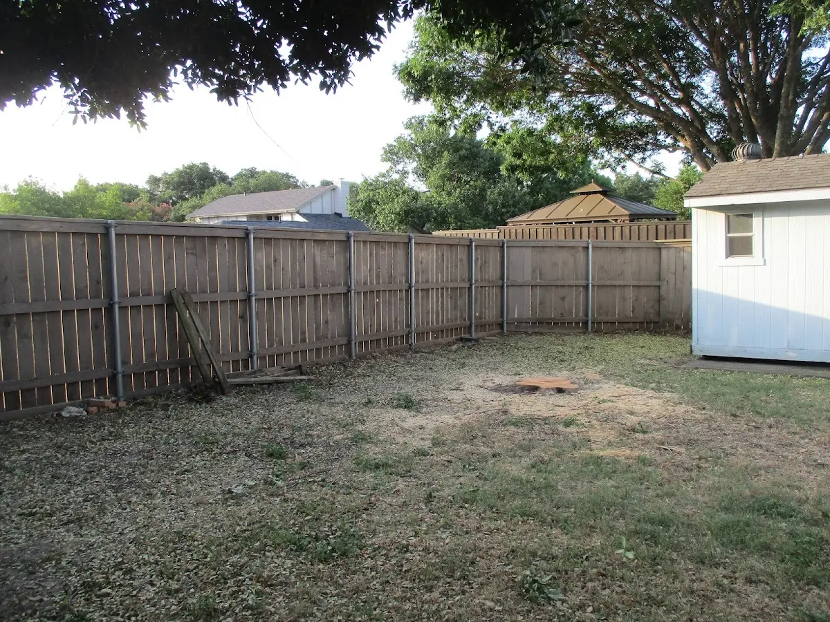 Cleared yard after professional tree removal in Seymour